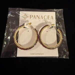 Panacea Hoop Earrings with deep red stones